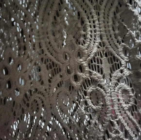 Brittany Black, Taupe Lace Top, XL, EUC - Picture 4 of 6